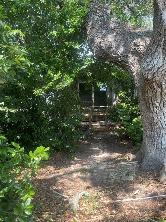 2012 Cochran Ln, Rockport, TX 78382 - view of local wilderness