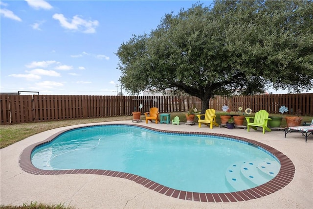 view of swimming pool featuring a patio area