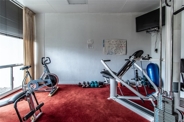 workout room with carpet