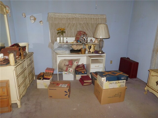 living area featuring carpet flooring