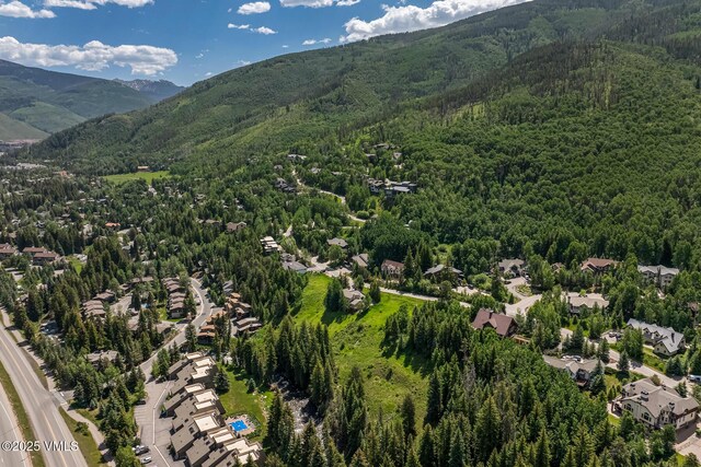 2010 Vermont Rd E, Vail, CO 81657 - bird's eye view of a forest and a mountain backdrop