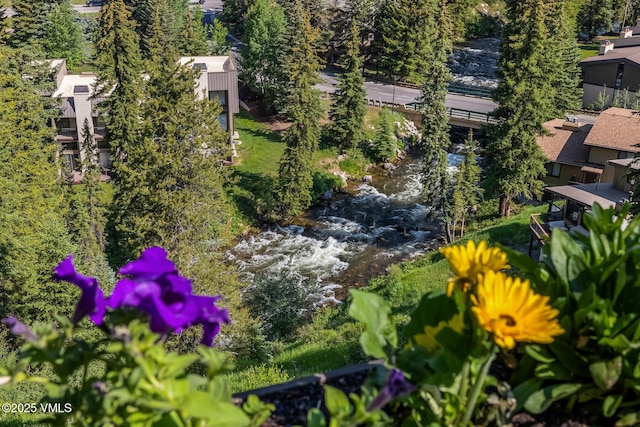 2010 Vermont Rd E, Vail, CO 81657 - drone / aerial view