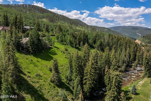 2010 Vermont Rd E, Vail, CO 81657 - view of mountain backdrop with a heavily wooded area