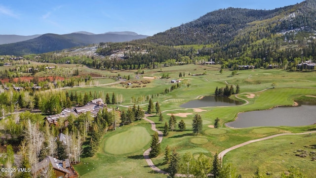 111 Club Cottage Dr, Edwards, CO 81632 - photo 34