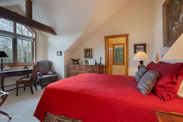 111 Club Cottage Dr, Edwards, CO 81632 - carpeted bedroom with high vaulted ceiling