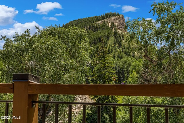 42 Riverfront Ln Unit 1, Avon, CO 81620 - photo 19