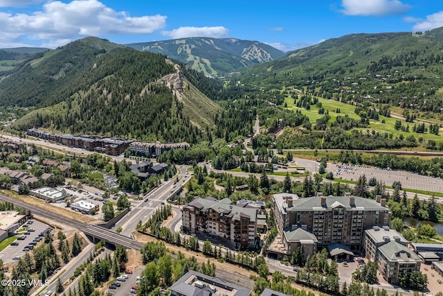 42 Riverfront Ln Unit 1, Avon, CO 81620 - photo 41