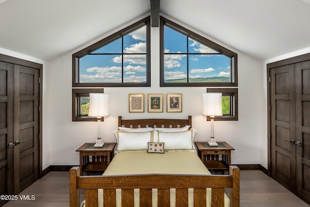 455 Old Creamery Rd, Edwards, CO 81632 - bedroom featuring wood finished floors, lofted ceiling, and multiple windows