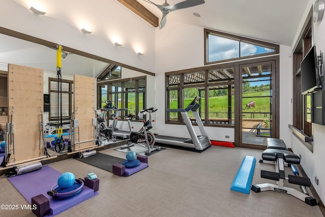 455 Old Creamery Rd, Edwards, CO 81632 - workout area featuring carpet floors, vaulted ceiling, and a ceiling fan
