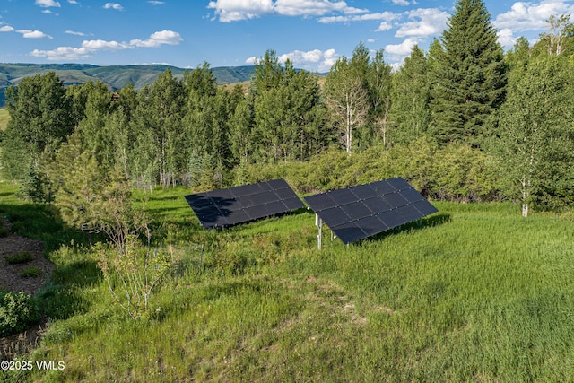 455 Old Creamery Rd, Edwards, CO 81632 - aerial view of a forest