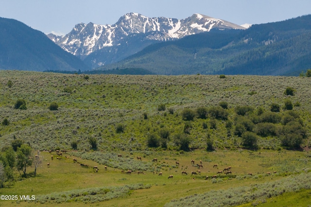 455 Old Creamery Rd, Edwards, CO 81632 - view of mountain backdrop with rural landscape