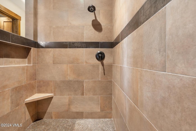 1288 E Haystacker Dr, Eagle, CO 81631 - details featuring tiled shower