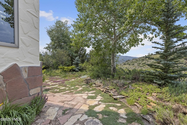 225 Alcazar Dr, Edwards, CO 81632 - view of yard with a patio