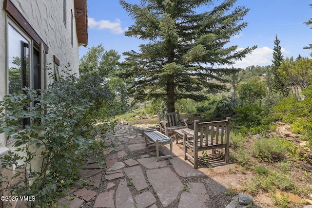 225 Alcazar Dr, Edwards, CO 81632 - view of patio / terrace