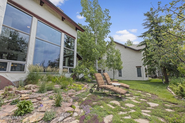 225 Alcazar Dr, Edwards, CO 81632 - view of grassy yard