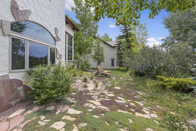 225 Alcazar Dr, Edwards, CO 81632 - view of yard