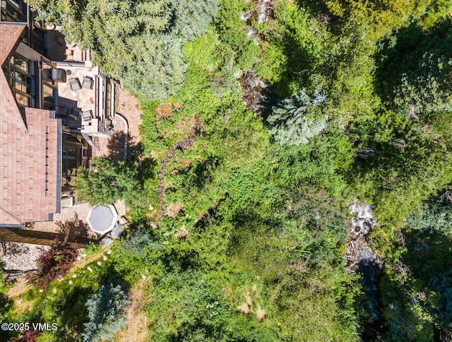 153 Village Walk, Beaver Creek, CO 81620 - aerial view of property and surrounding area