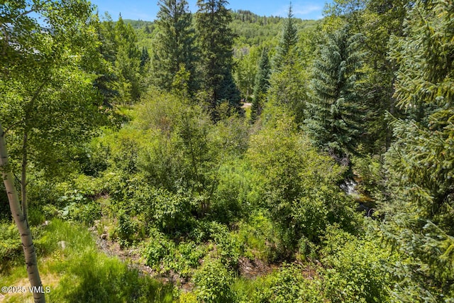 153 Village Walk, Beaver Creek, CO 81620 - view of tree filled area