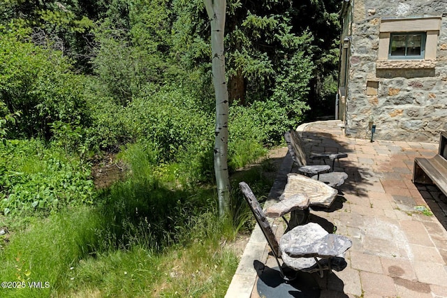153 Village Walk, Beaver Creek, CO 81620 - exterior view of stone siding