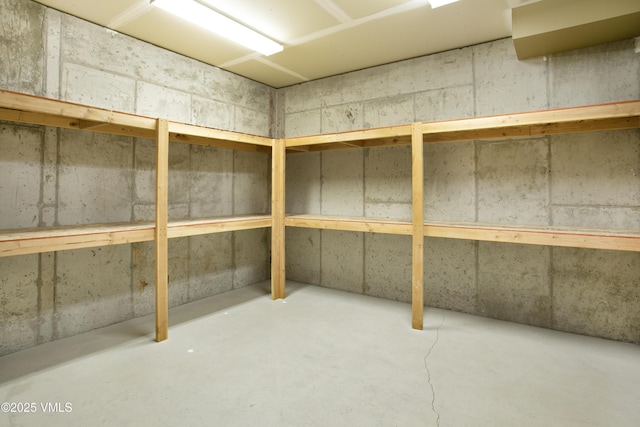 88 E Double Hitch, Eagle, CO 81631 - view of storage area