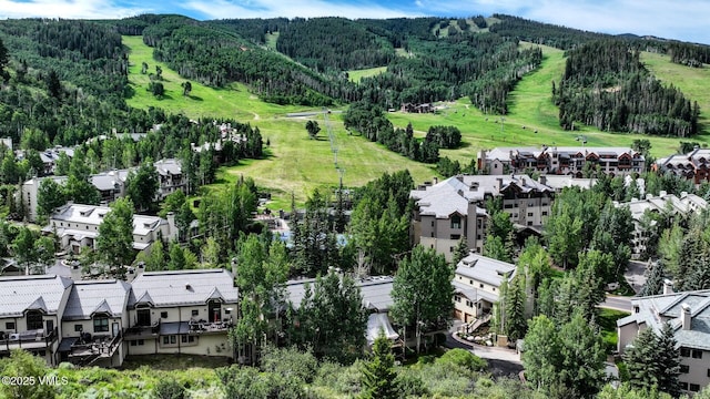 355 Offerson Rd Unit P4, Beaver Creek, CO 81620 - aerial perspective of suburban area with a heavily wooded area and a mountain backdrop