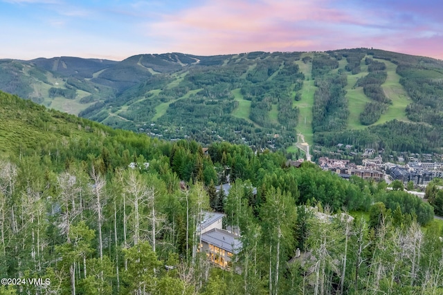 784 Potato Patch Dr Unit W, Vail, CO 81657 - view of mountain background featuring a heavily wooded area