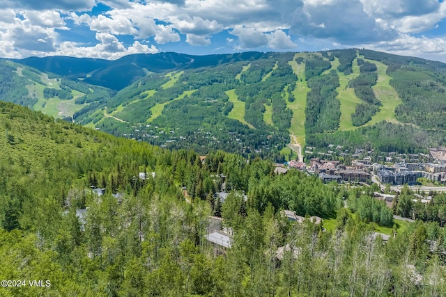 784 Potato Patch Dr Unit W, Vail, CO 81657 - view of mountain backdrop with a forest