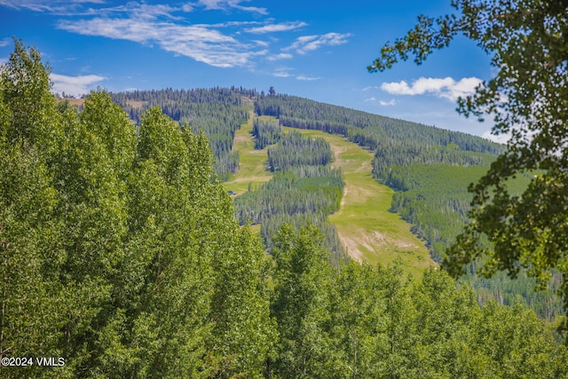 784 Potato Patch Dr Unit W, Vail, CO 81657 - drone / aerial view of a heavily wooded area