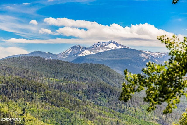 784 Potato Patch Dr Unit W, Vail, CO 81657 - view of mountain backdrop with a forest