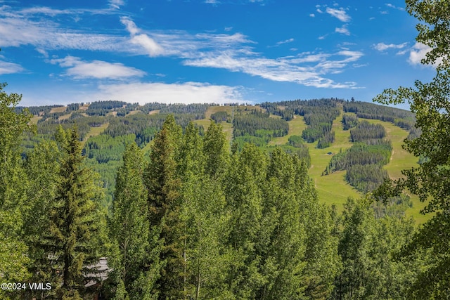 784 Potato Patch Dr Unit W, Vail, CO 81657 - view of mountain background featuring a heavily wooded area