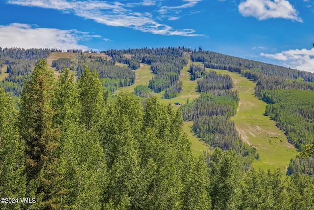 784 Potato Patch Dr Unit W, Vail, CO 81657 - aerial view of a heavily wooded area