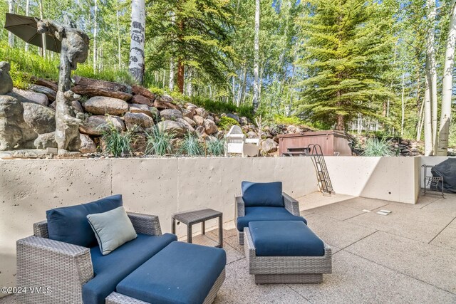 784 Potato Patch Dr Unit W, Vail, CO 81657 - view of patio