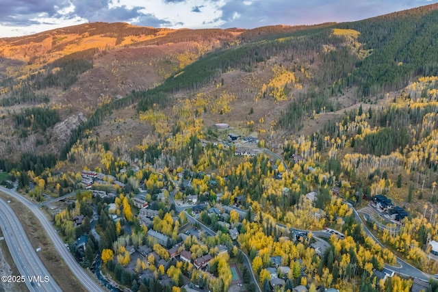 2764 S Frontage Rd, Vail, CO 81657 - view of mountain backdrop featuring a heavily wooded area