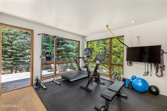 2764 S Frontage Rd, Vail, CO 81657 - view of workout area
