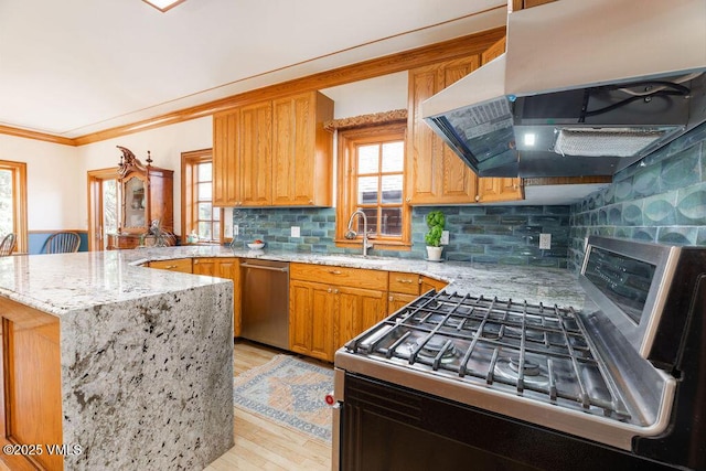 336 E Fourth St, Eagle, CO 81631 - kitchen with stainless steel appliances, exhaust hood, a peninsula, light stone countertops, and light wood-style flooring