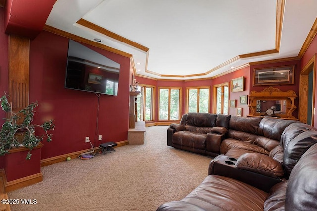 336 E Fourth St, Eagle, CO 81631 - living area with carpet floors, ornamental molding, recessed lighting, and a tray ceiling