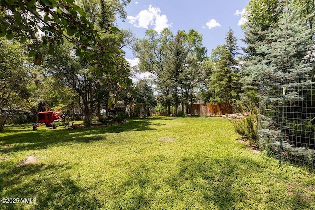 336 E Fourth St, Eagle, CO 81631 - view of yard