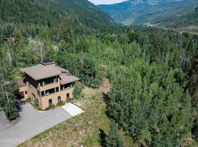 5174 Main Gore Dr S Unit B, Vail, CO 81657 - photo 4
