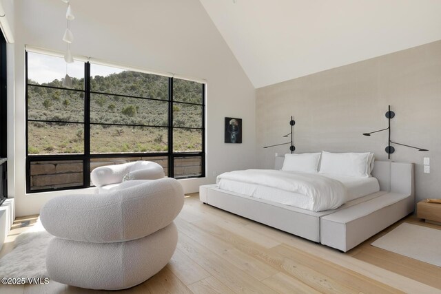 1092 Fourth Of July Rd, Eagle, CO 81631 - bedroom with high vaulted ceiling and light wood finished floors
