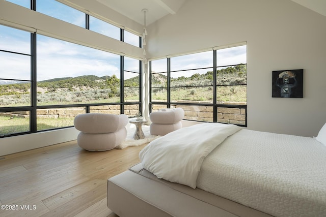 1092 Fourth Of July Rd, Eagle, CO 81631 - bedroom featuring wood finished floors, high vaulted ceiling, and a mountain view