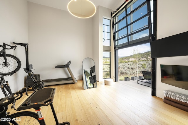 1092 Fourth Of July Rd, Eagle, CO 81631 - workout area with hardwood / wood-style flooring