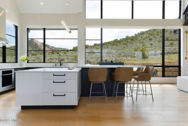 1092 Fourth Of July Rd, Eagle, CO 81631 - kitchen featuring wall oven, modern cabinets, light countertops, white cabinetry, and light wood-style floors