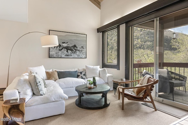 view of carpeted living room