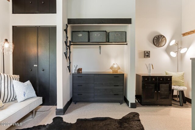 carpeted bedroom with a closet