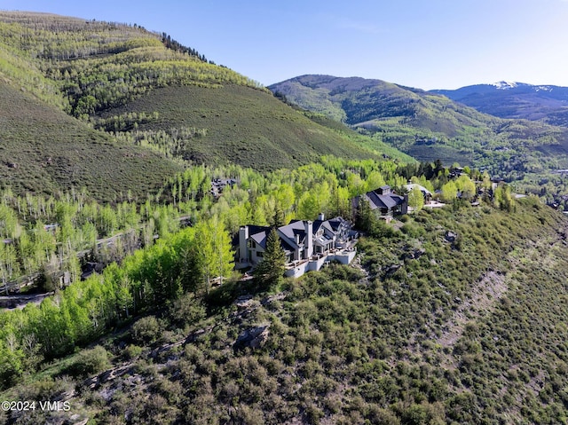 1675 Aspen Ridge Rd, Vail, CO 81657 - photo 52