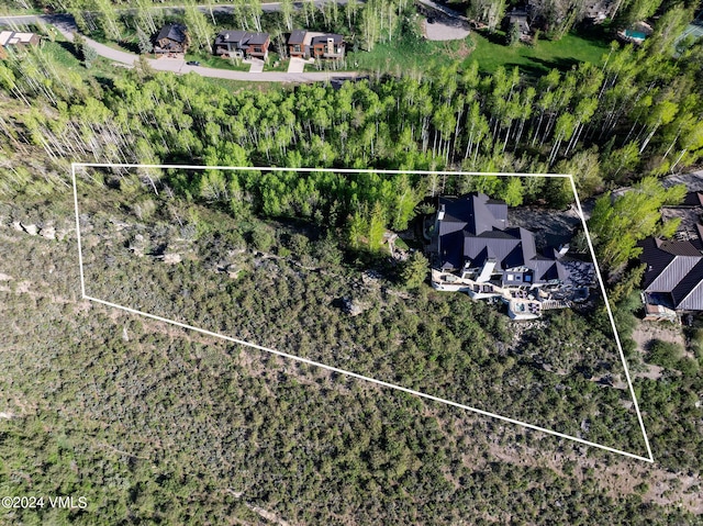 1675 Aspen Ridge Rd, Vail, CO 81657 - photo 53