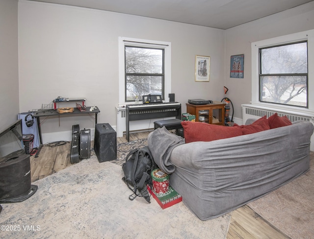 425 Broadway St, Eagle, CO 81631 - living area featuring a healthy amount of sunlight, radiator heating unit, baseboards, and wood finished floors