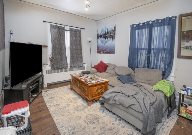 425 Broadway St, Eagle, CO 81631 - living room featuring radiator and wood finished floors