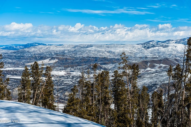 property view of mountains