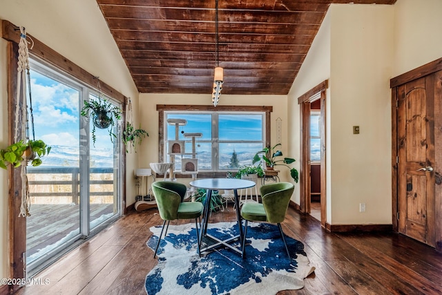 dining room featuring lofted ceiling, hardwood / wood-style flooring, and a healthy amount of sunlight